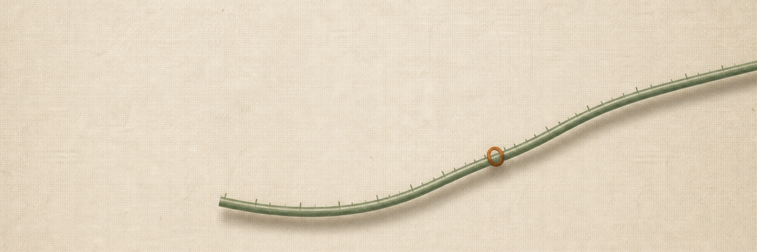 ArclengthContinuation wordmark banner